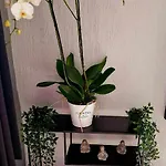 Bed & Breakfast Le Petit Broux 3*