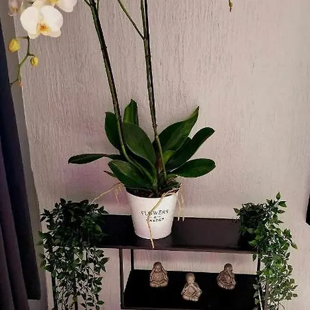 فندق مبيت وإفطار Le Petit Broux 3*