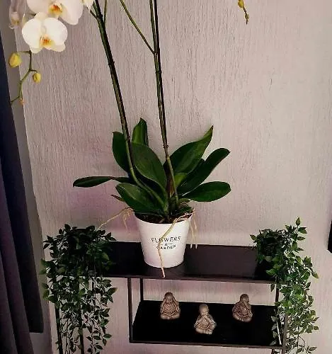 Frühstückspension Le Petit Broux 3*